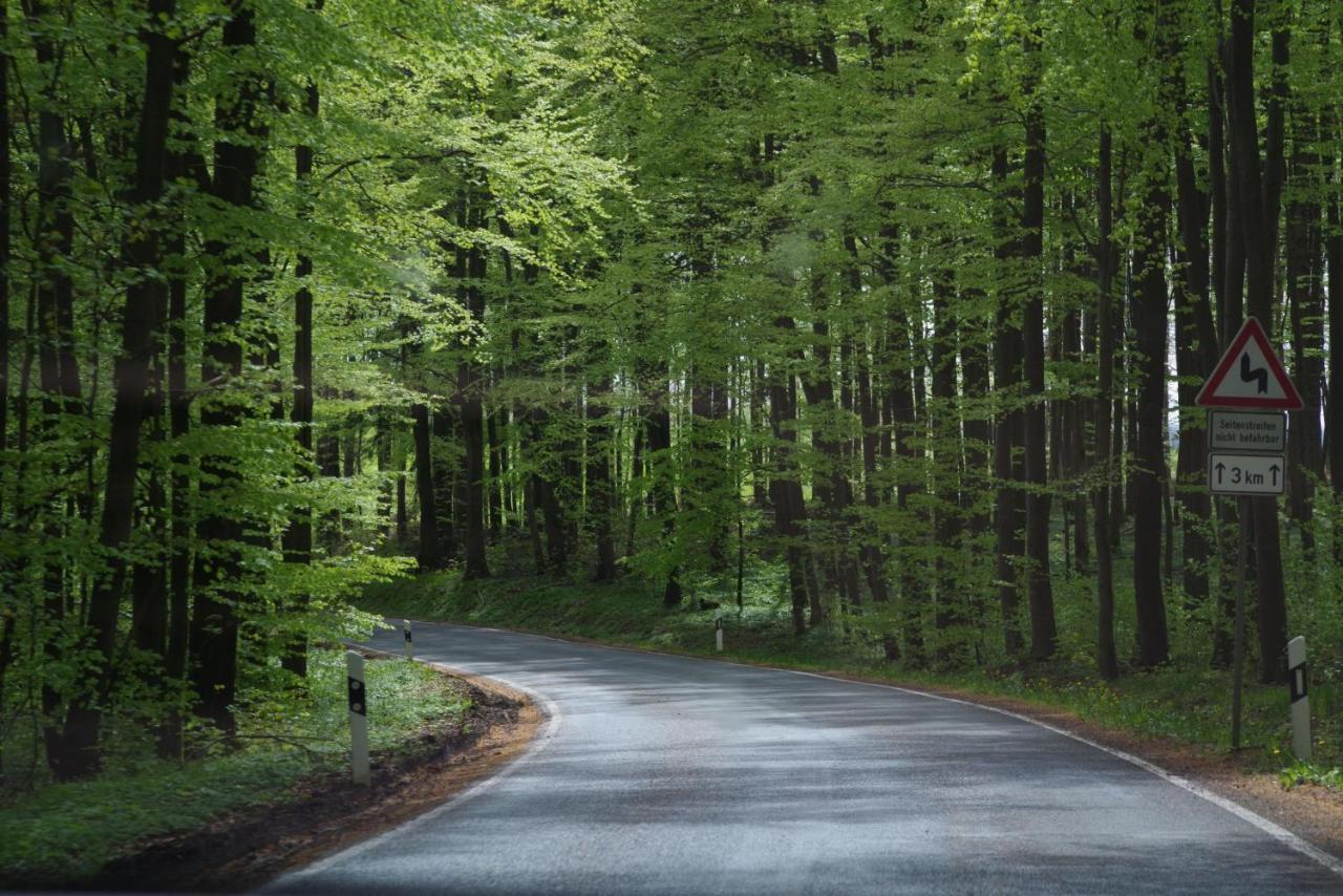 Ferienwohnung Schuur - Harz Hasselfelde Luaran gambar